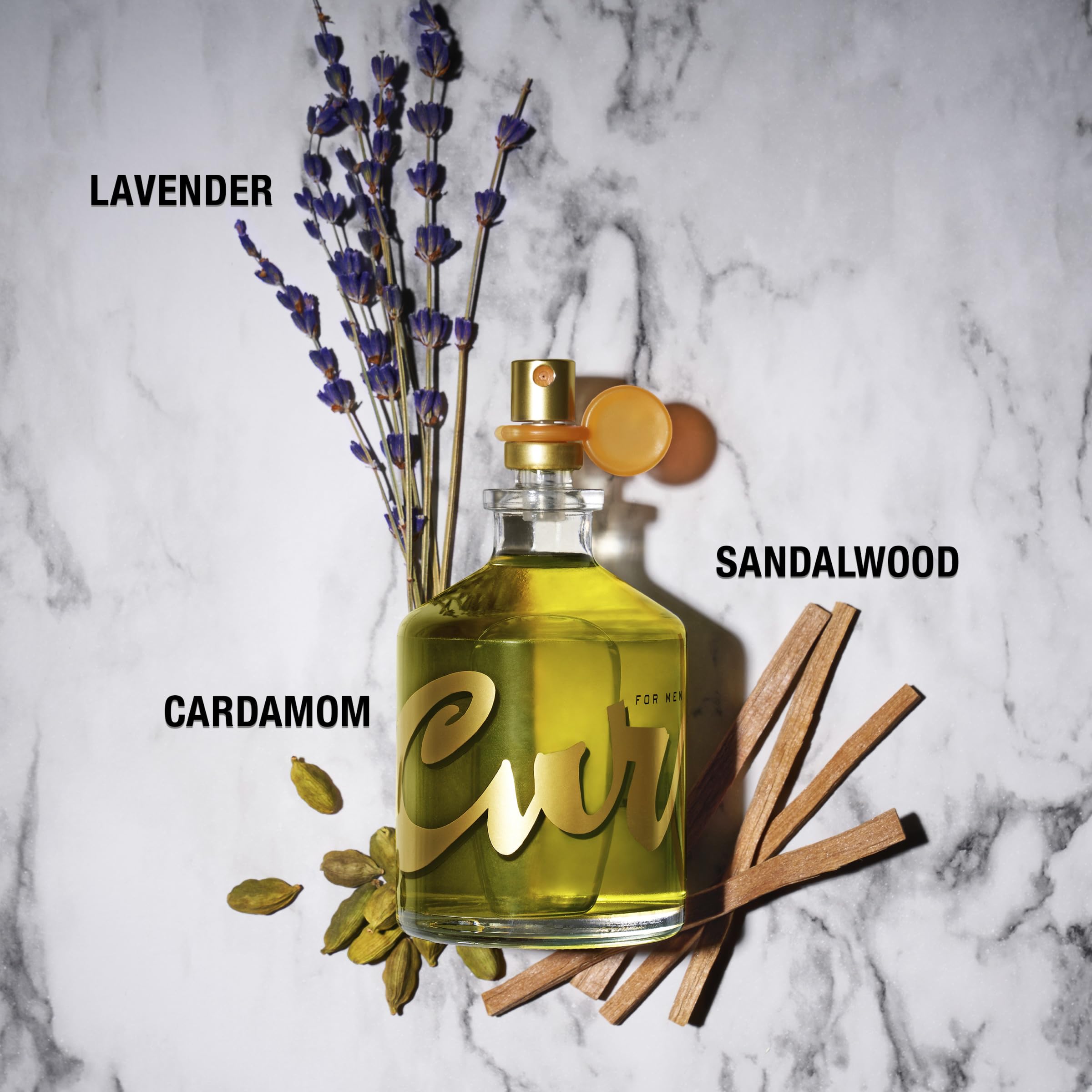 Curve Men's Cologne Fragrance Spray, Spicy Woody Magnetic Scent for Day or Night, 2.5 fl. oz